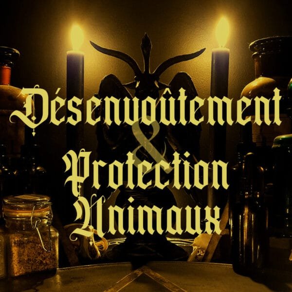 Désenvoûtement et protection d'un animal
